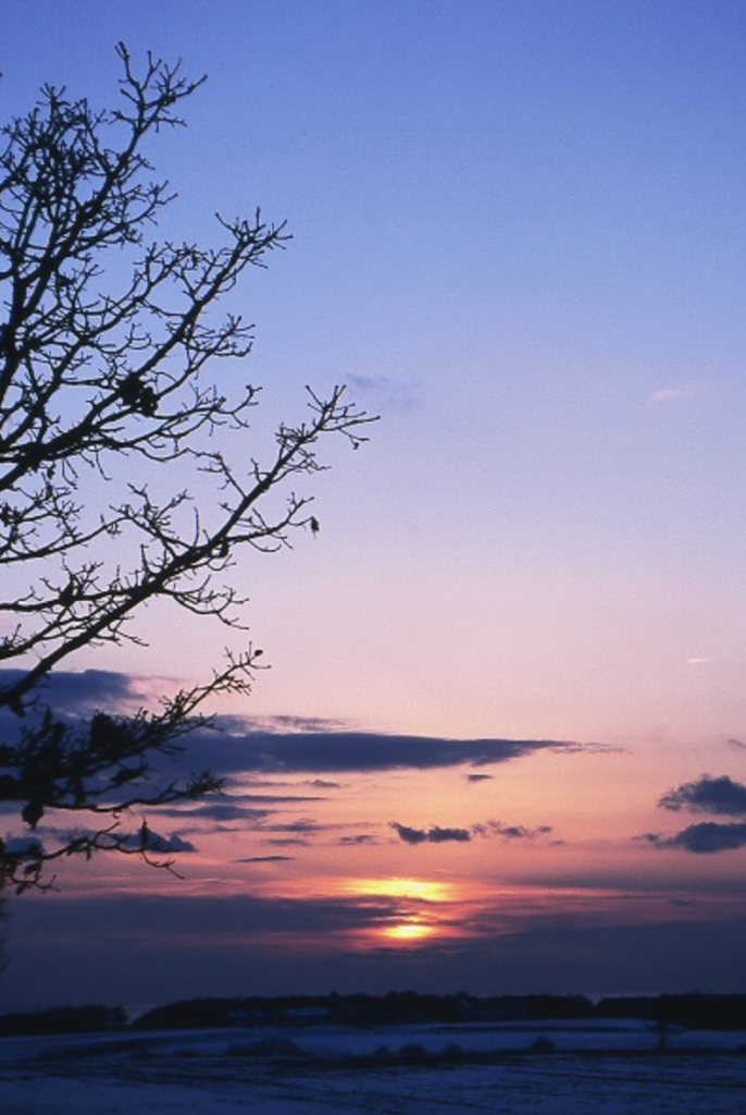 現在の画像に代替テキストがありません。ファイル名: 北海道の夕日_フリー素材.png